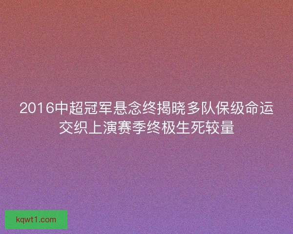 2016中超冠军悬念终揭晓多队保级命运交织上演赛季终极生死较量