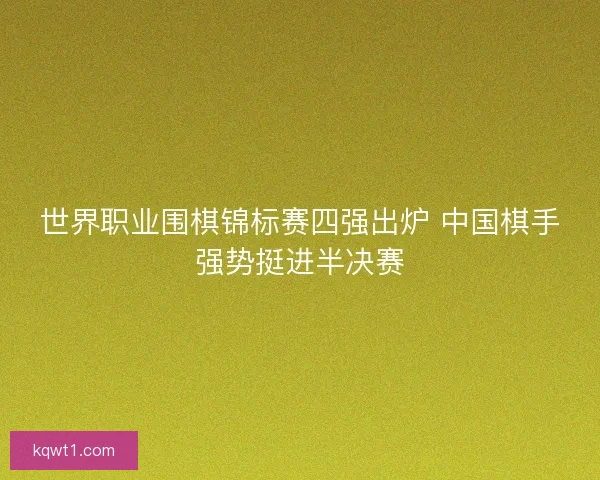 世界职业围棋锦标赛四强出炉 中国棋手强势挺进半决赛